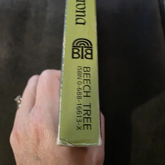 The Magicians of Caprona by Diana Wynne Jones - Picture 3 of 4